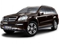 EVA коврики в багажник Mercedes GL-класс X164 2006-2012
