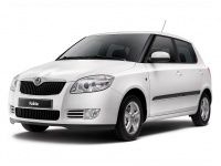 Коврики EVA Skoda Fabia II 2007-2014